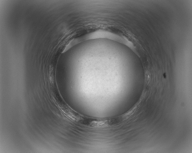 X0000051260170200507082226