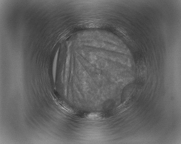 X0000051260171200507082226