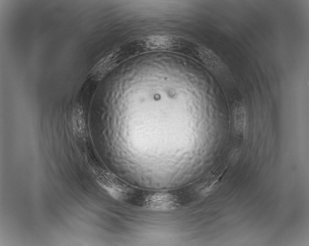 X0000051260173200507082226