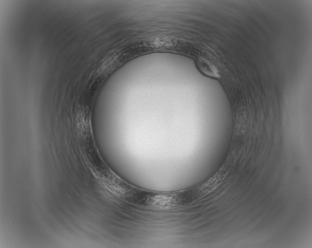 X0000051260176200507082226