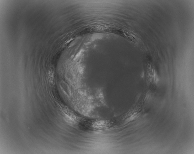 X0000051260177200507082226