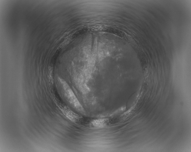 X0000051260178200507082226