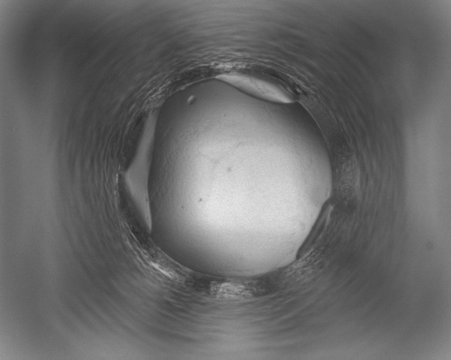 X0000051260180200507082226
