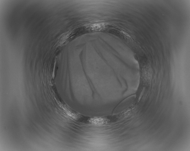 X0000051260181200507082226