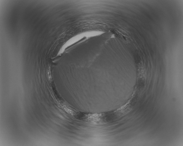 X0000051260182200507082226