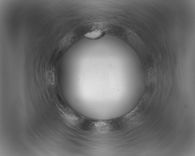 X0000051260183200507082226