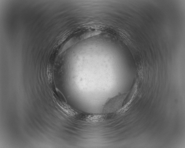 X0000051260186200507082226