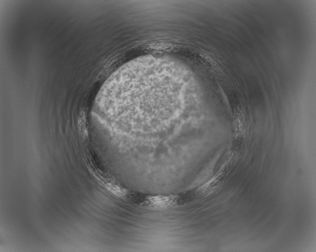 X0000051260187200507082226