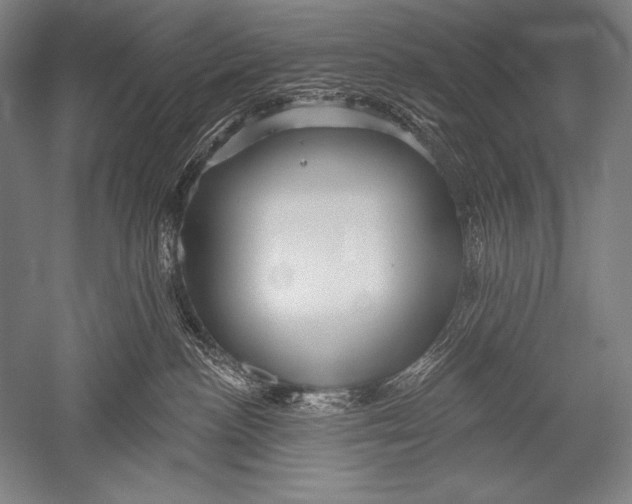 X0000051260188200507082226