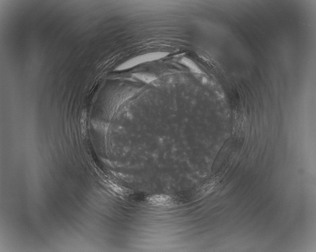 X0000051260189200507082227