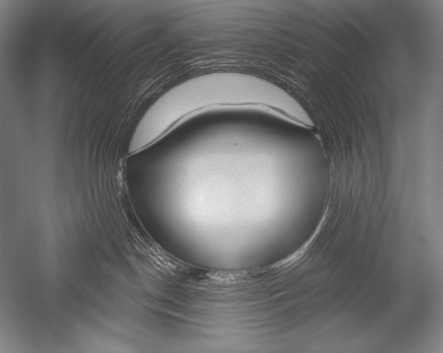 X0000051260190200507082227