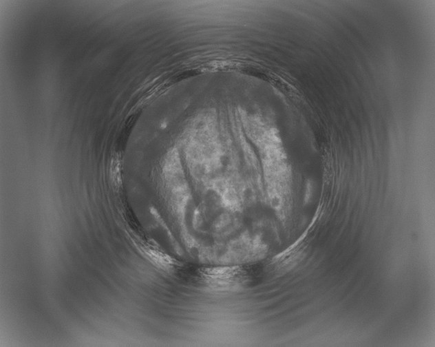 X0000051260191200507082227