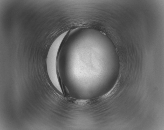 X0000051260192200507082227