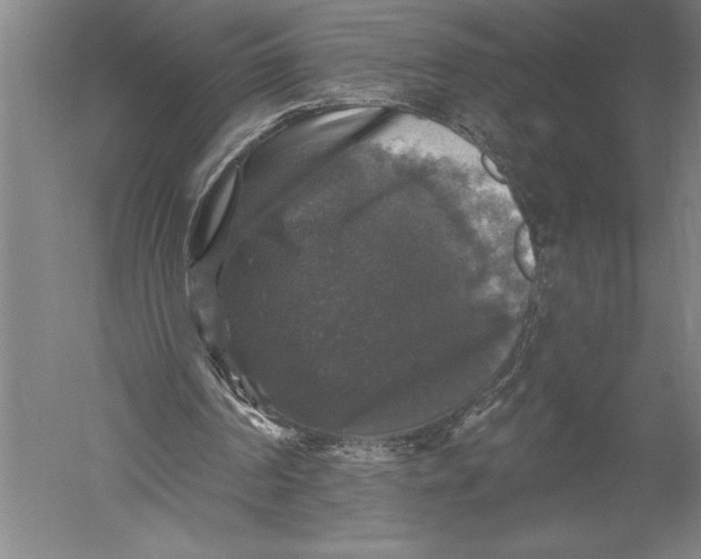 X0000051260194200507082226