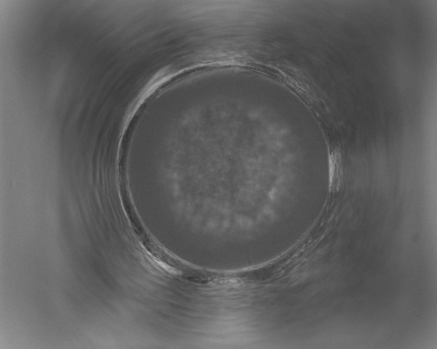 X0000051260195200507082226