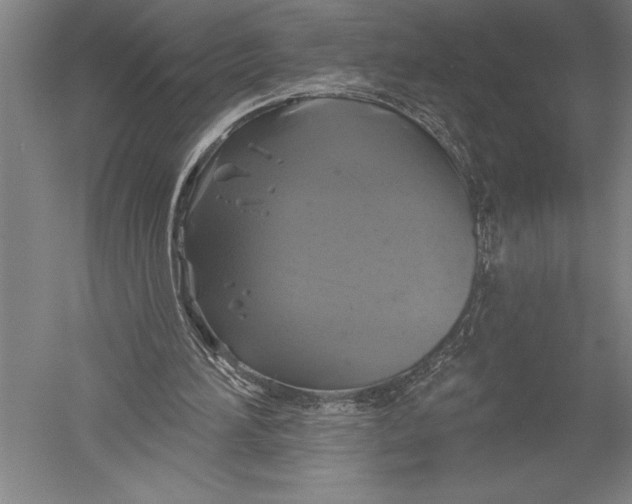 X0000051260196200507082226