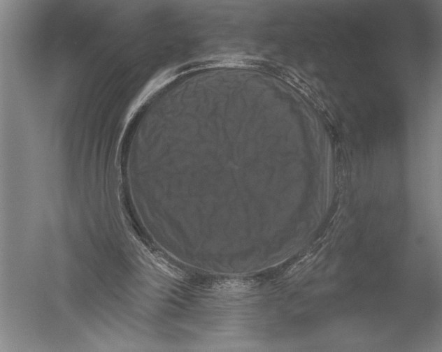 X0000051260198200507082226