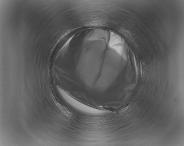 X0000051260204200507082226