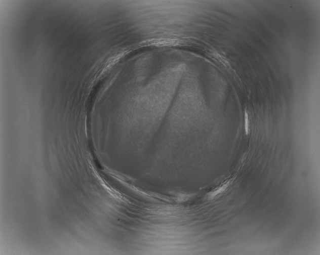 X0000051260205200507082226