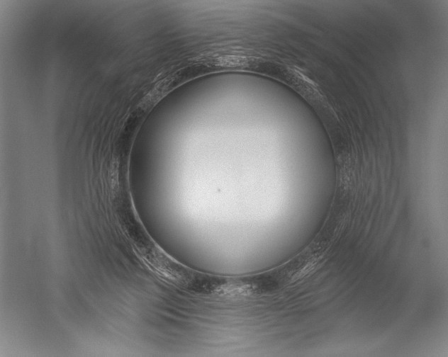 X0000051260213200507082225