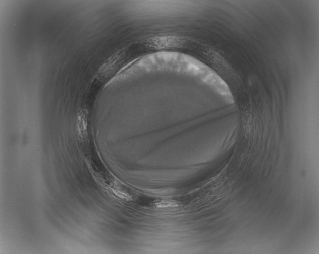 X0000051260214200507082225