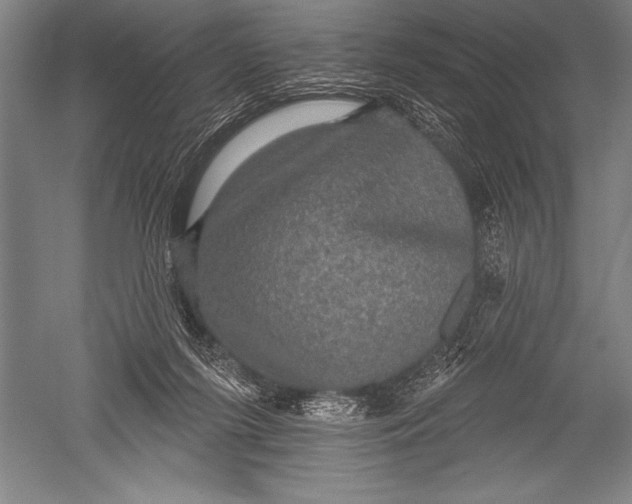 X0000051260215200507082225