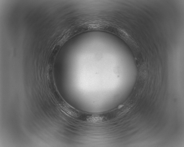 X0000051260217200507082225
