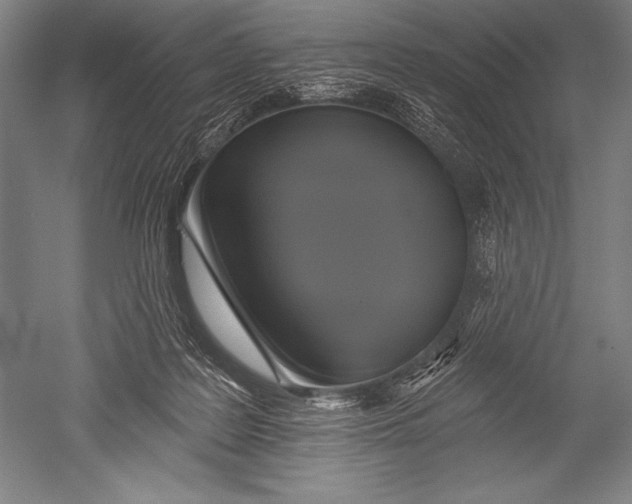 X0000051260219200507082225