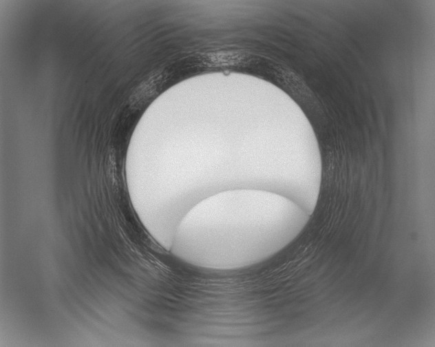 X0000051260220200507082225