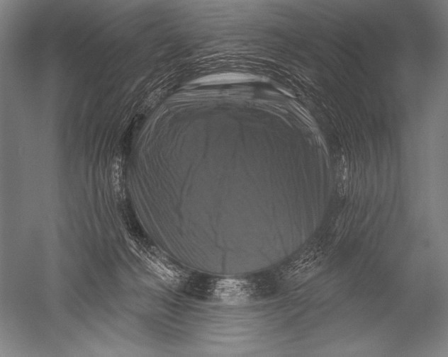 X0000051260222200507082225