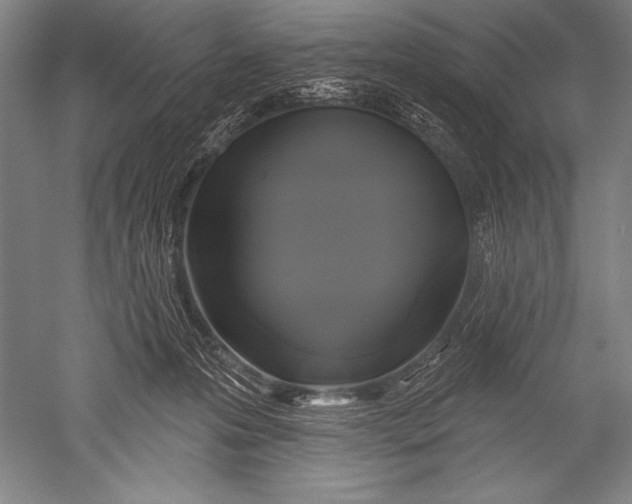 X0000051260223200507082225