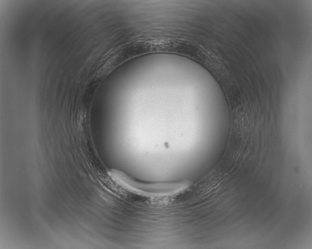 X0000051260225200507082225