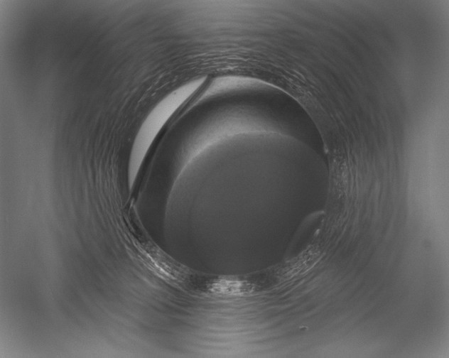 X0000051260227200507082225