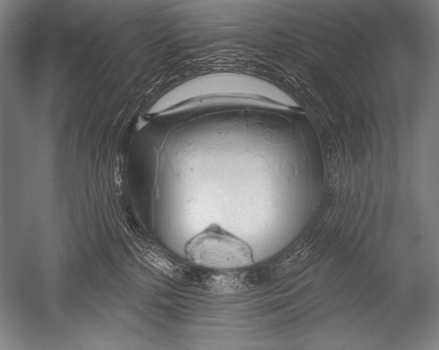 X0000051260232200507082225