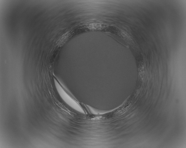 X0000051260233200507082225