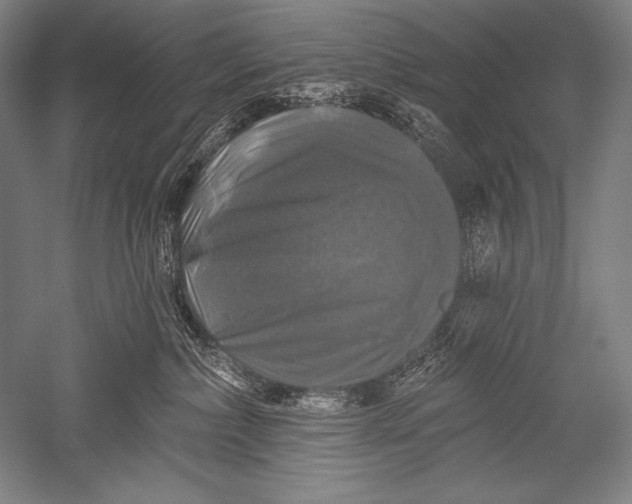 X0000051260236200507082225