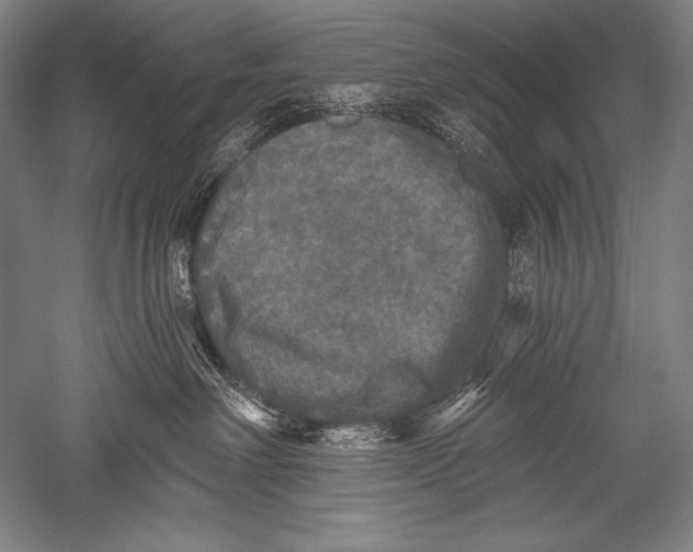 X0000051260238200507082225