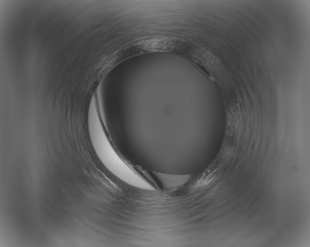 X0000051260239200507082225