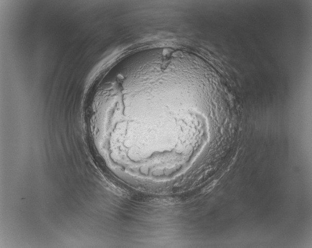 X0000051260245200507082224