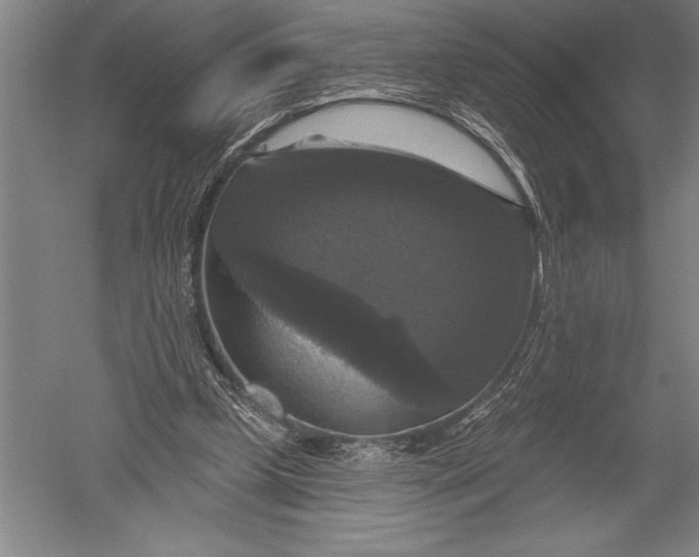 X0000051260249200507082224