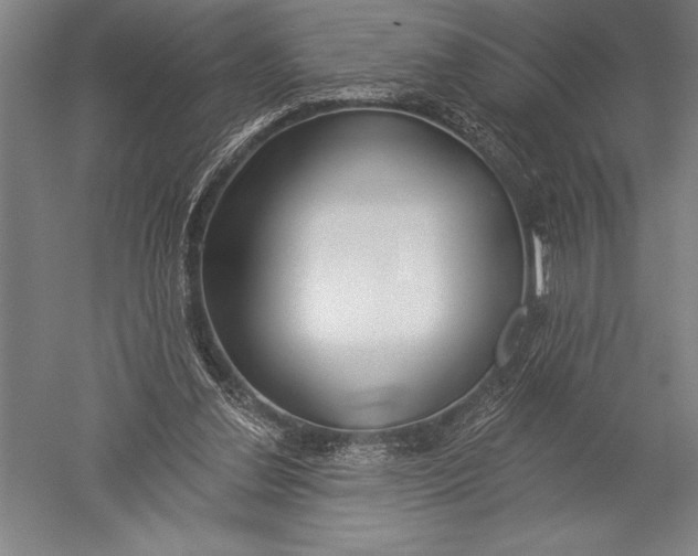X0000051260252200507082224