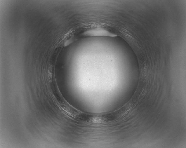 X0000051260264200507082225