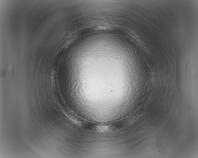X0000051260265200507082225