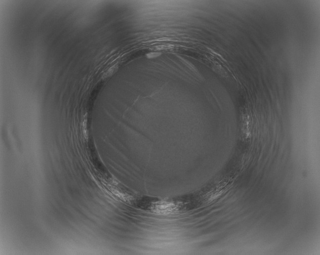 X0000051260267200507082225