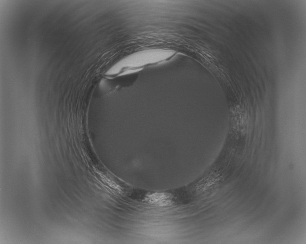 X0000051260269200507082225