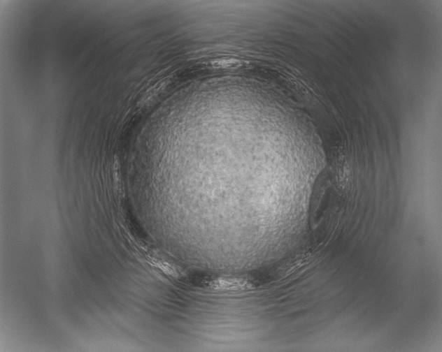X0000051260270200507082225