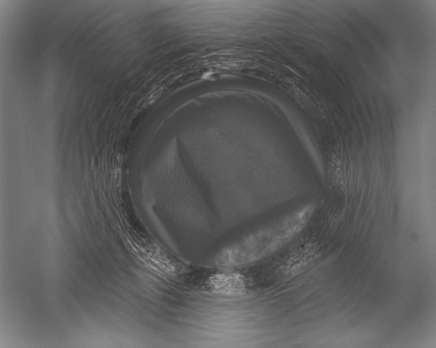 X0000051260271200507082225