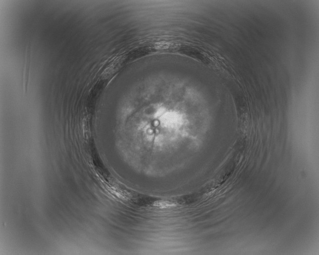 X0000051260272200507082225