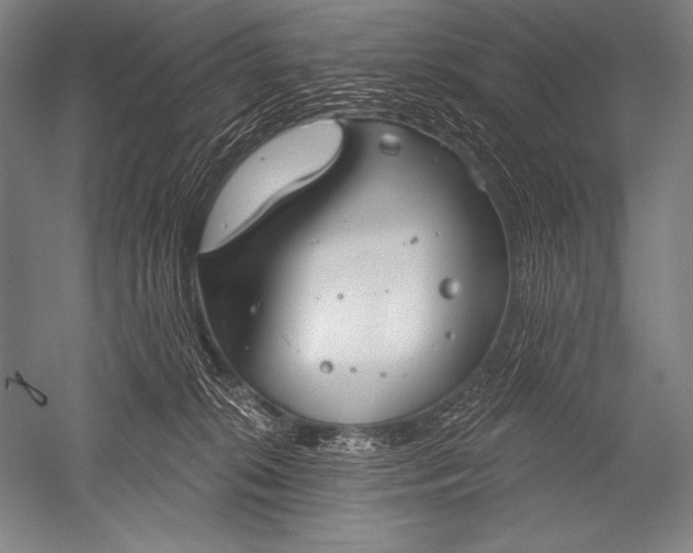 X0000051260276200507082225