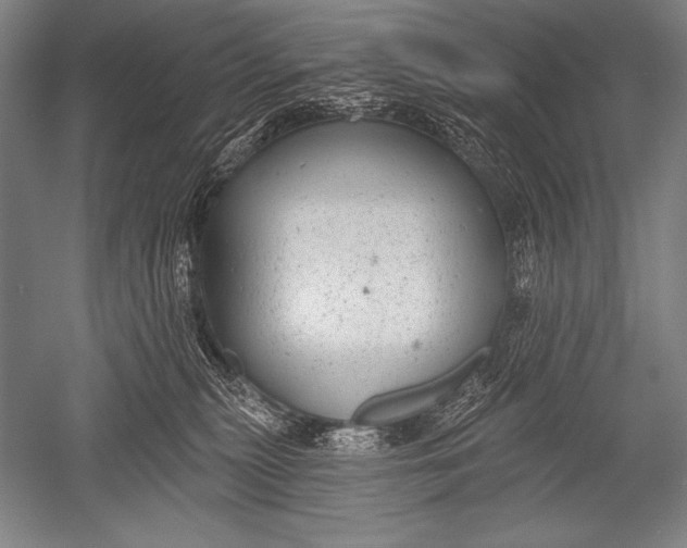 X0000051260279200507082225